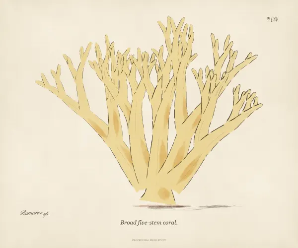 Coral fungus